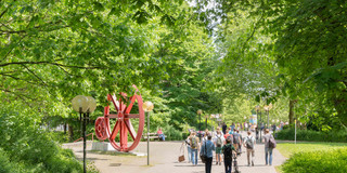 Studierende auf dem Campus im Sommer
